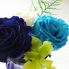 フラワーギフト、レゼルブ、東京都池袋のアトリエ、フラワーコーディネート